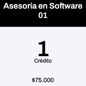 Asesoría en Software 1