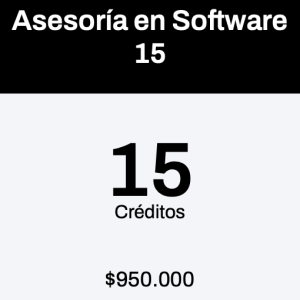 Asesoría en Software 15