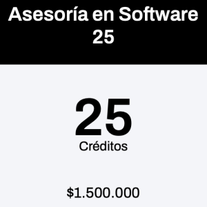 Asesoría en Software 25